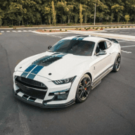 ��·��ʻ��ս��ʽ������v306.1.0.3018