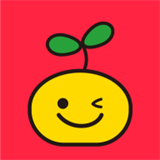 橘兜账本安卓版下载v1.0.0