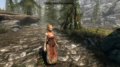 上古卷轴5马车mod族系那般下载v1.3.1图1: