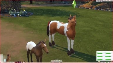 模拟人生4宠物mod下载安装v1.0图片1