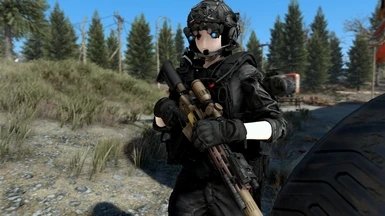 辐射4HK416步枪mod最新版下载v1.0图1: