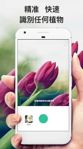 picturethis中文版下载图3: