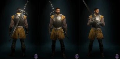 永恒之柱2武器模组下载安装v1.0图4: