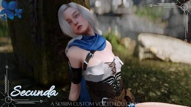 上古卷轴5公主随从mod下载v1.0.0图2: