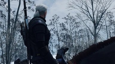 巫师3血与酒mod下载v1.0.0图2: