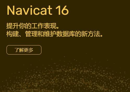 navicat汉化包最新版下载v1.61图1: