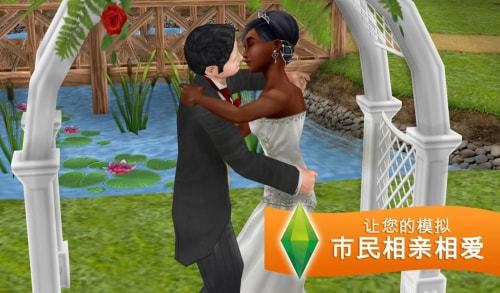 模拟人生4饰品mod下载v2.03图2: