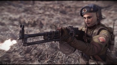 辐射4现代战争武器mod整合下载v1.10.106图3: