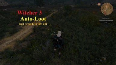 巫师3自动拾取mod最新版下载v1.7.4图片1