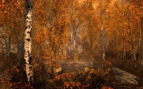 老滚5重制版画质mod下载v1.0图2: