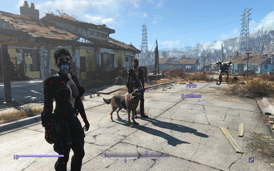 辐射4多人随从mod下载安装v1.1.0图1: