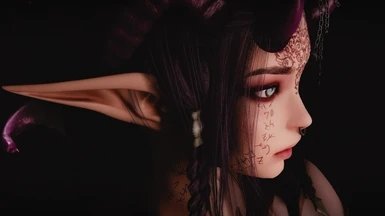 上古卷轴5精灵耳mod下载安装v1.0图1: