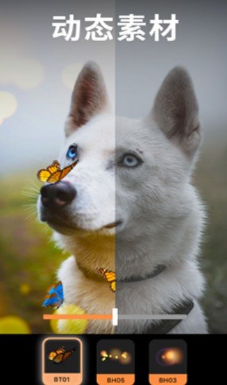 motionleap motionleap永久免费版最新下载v1.3.15图1: