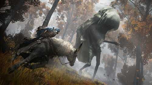 艾尔登法环第一人称视角MOD免费下载v1.0.01图1: