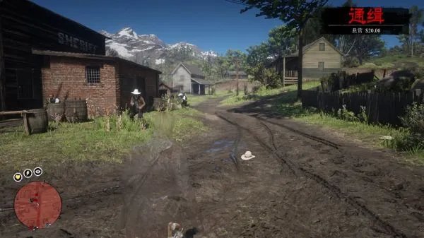 荒野大镖客2隐身MOD下载安装v1.0图3: