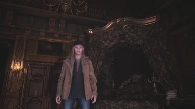 生化危机8第三人称mod最新版下载v1.0图2: