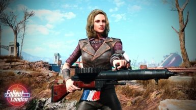 辐射4机枪mod下载安装v1.01图1: