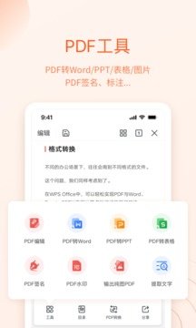 wps专业版手机版下载图2: