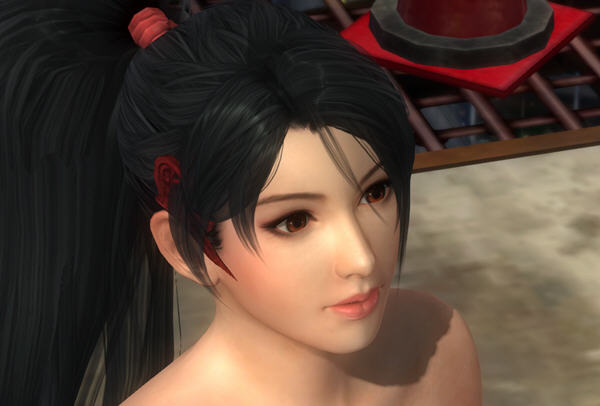 死或生5完美存档最新版下载v2.5.0图1: