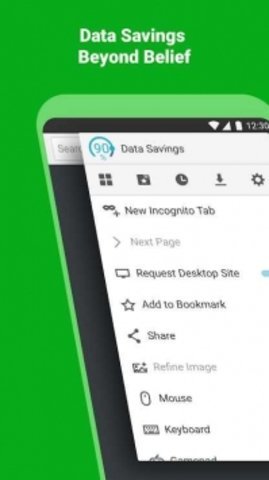 puffin浏览器免费下载v8.4.1图1: