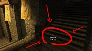 上古卷轴5更好的第三人称最新版下载安装v0.5.8图1: