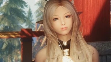 上古卷轴5永恒随从mod下载安装v1.0.0图2: