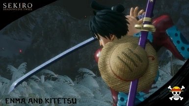 只狼海贼王mod最新版下载v1.0图2: