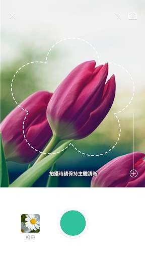 picturethis中文版下载图1: