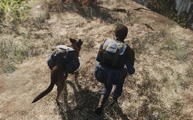 辐射4狗肉装备mod下载安装v1.0.0图1: