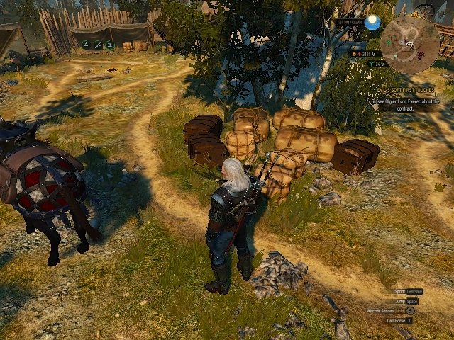 巫师3相机mod2023最新版下载v1.1图1: