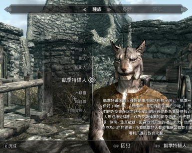 上古卷轴中文补丁最新版下载v8.20.1图3: