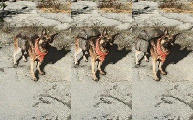 辐射4狗肉装备mod下载安装v1.0.0图2: