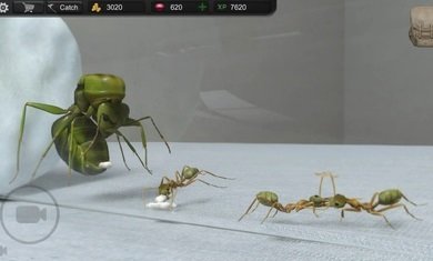 蚂蚁模拟大亨2023最新版免费下载v2.6图1: