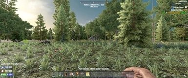 七日杀生命值上限mod下载安装v1.0.0图4: