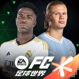 FC足球世界国际服