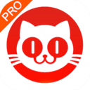 猫眼专业版网页版