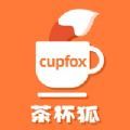 茶杯狐cupfox