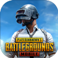 pubg测试服官方版正版