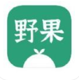 野果阅读安卓版