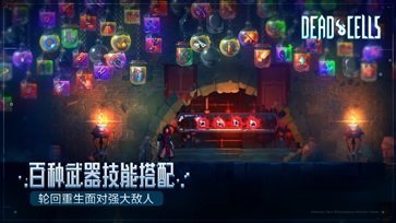 重生细胞内置菜单版游戏v1.60.10下载图片1