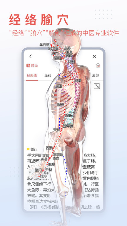 3d人体模型软件手机版v2.0.0下载?2: