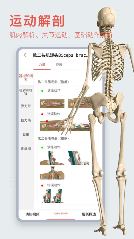 3d人体模型软件手机版v2.0.0下载?1: