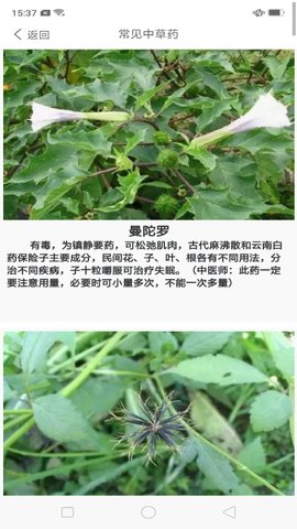 中药养生记图2
