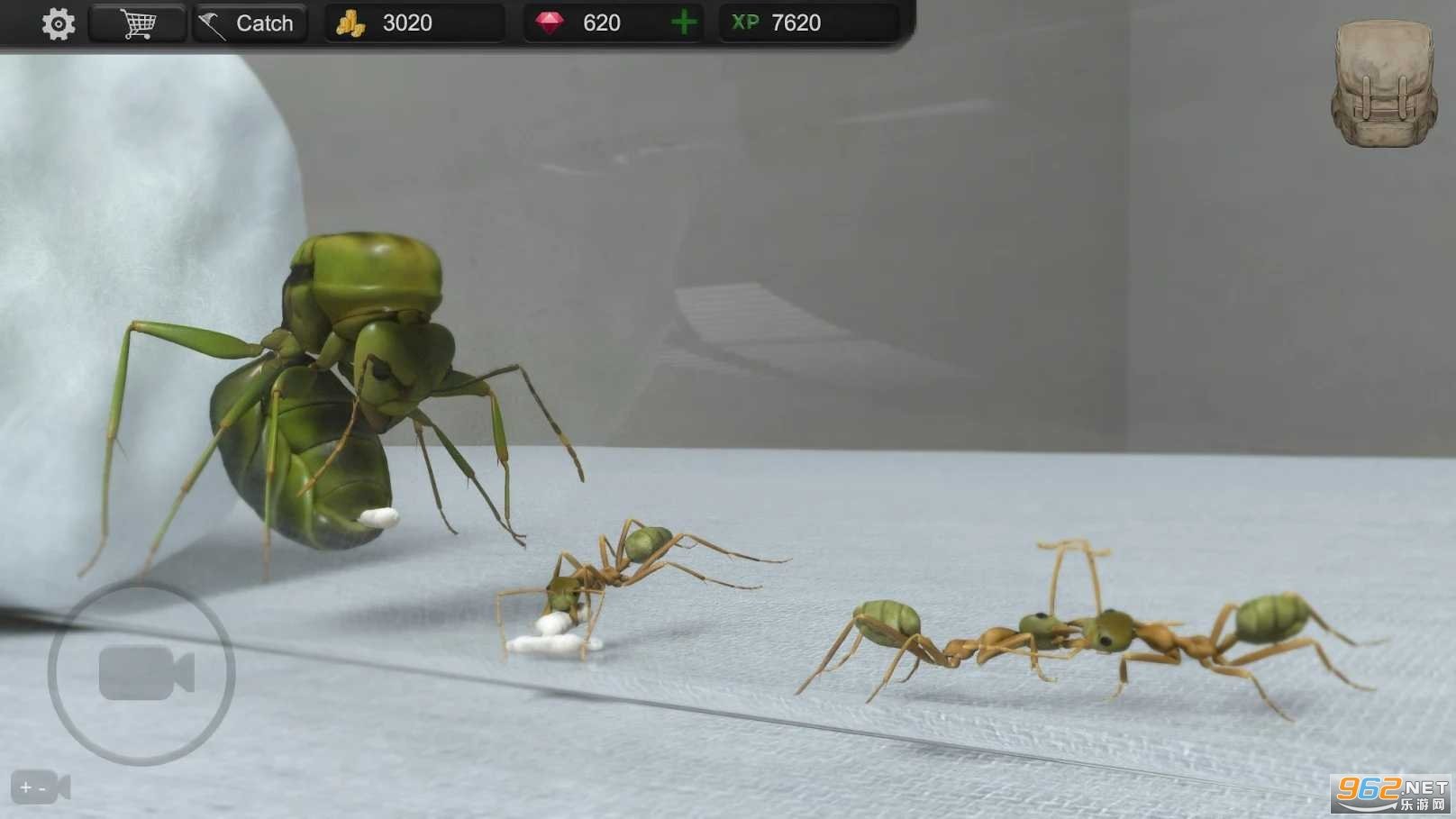 蚂蚁模拟大亨无限钻石v2下载图3: