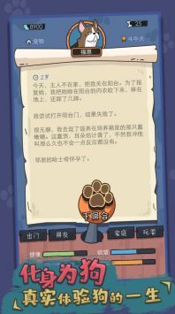 狗生模拟器v1.0.16下载图2: