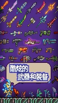 泰拉瑞亚1.4.3.2国际版汉化版(全物品存档)下载图3: