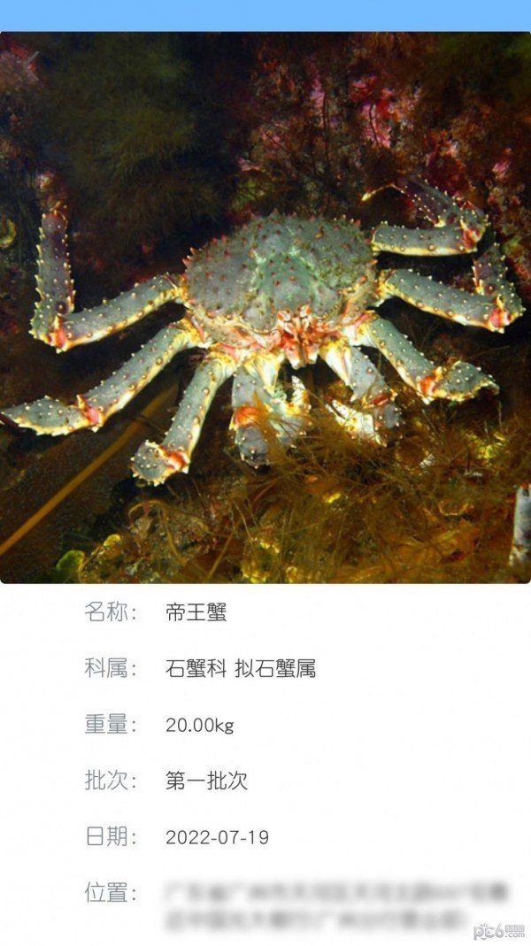 南海天然海鲜商家最新官方版下载?1: