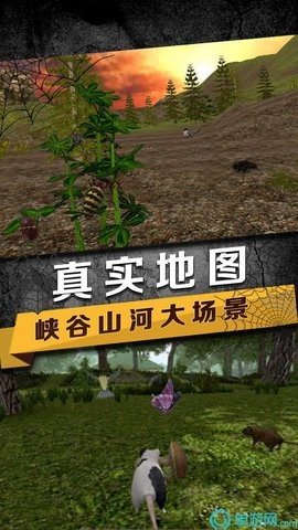 蜘蛛生存模拟器最新版下载图1: