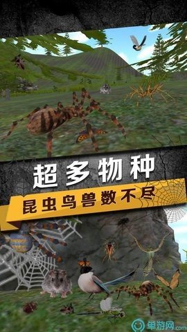 蜘蛛生存模拟器最新版下载图3: