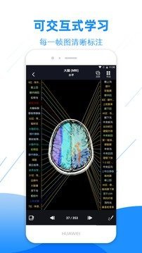 影像解剖图谱正版下载?2: